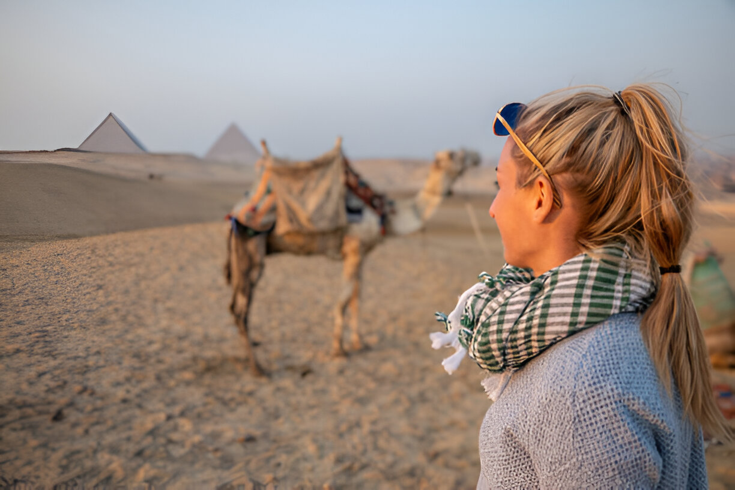 Best Tour Providers in Cairo (2026)